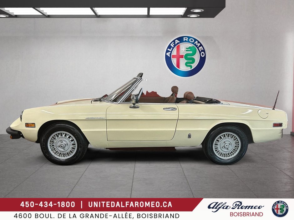 Alfa Romeo SPIDER VELOCE Veloce 1981-1