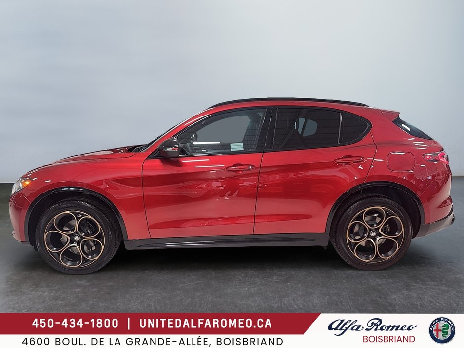 2025 Alfa Romeo Stelvio Intensa-4
