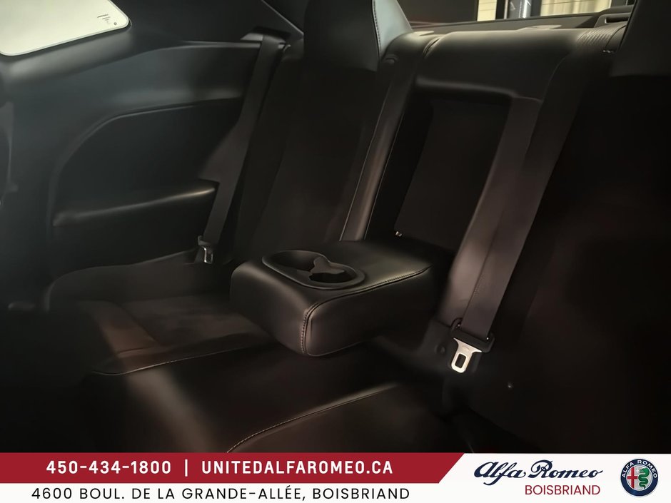 Dodge Challenger R/T Shaker 2018-24