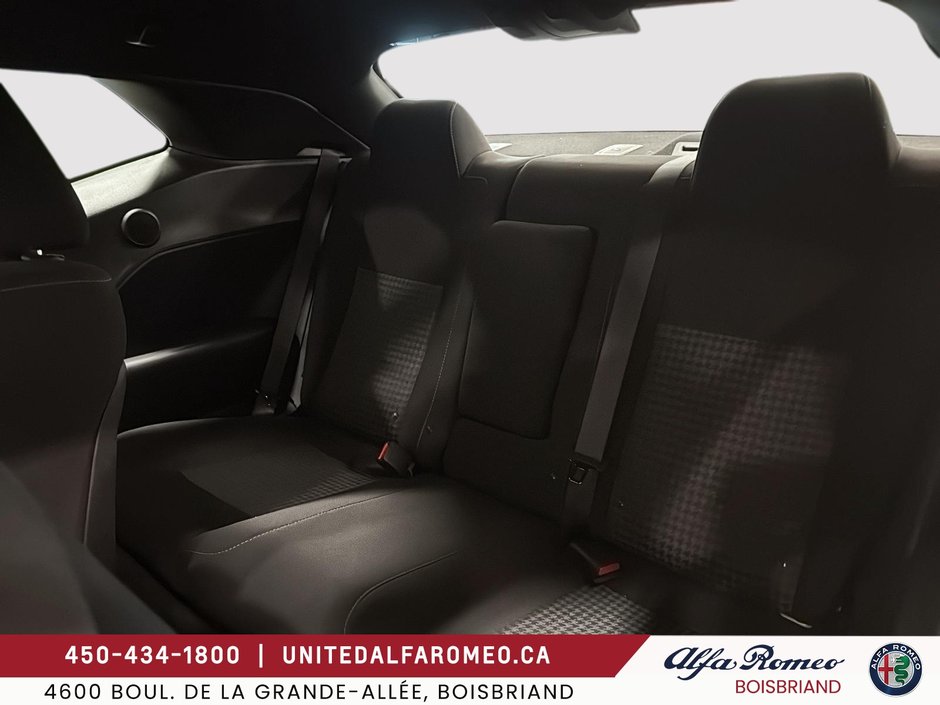 2023 Dodge Challenger Scat Pack 392 T/A EDITION-10