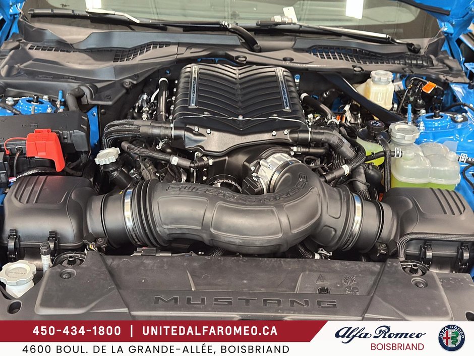 Ford Mustang SHELBY GT350 810HP 2025-6