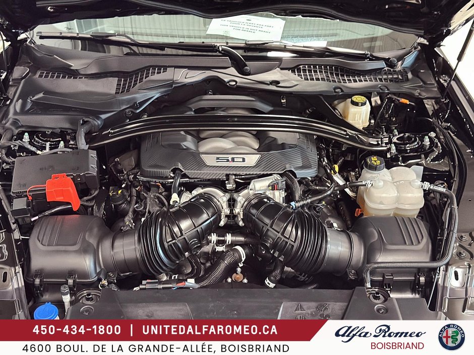 Ford Mustang GT PREMIUM,5.0L,RECARO,AUTO 2025-7
