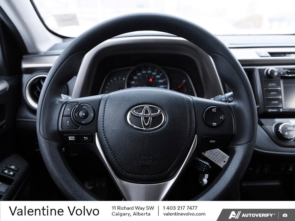 2015 Toyota RAV4 XLE-13