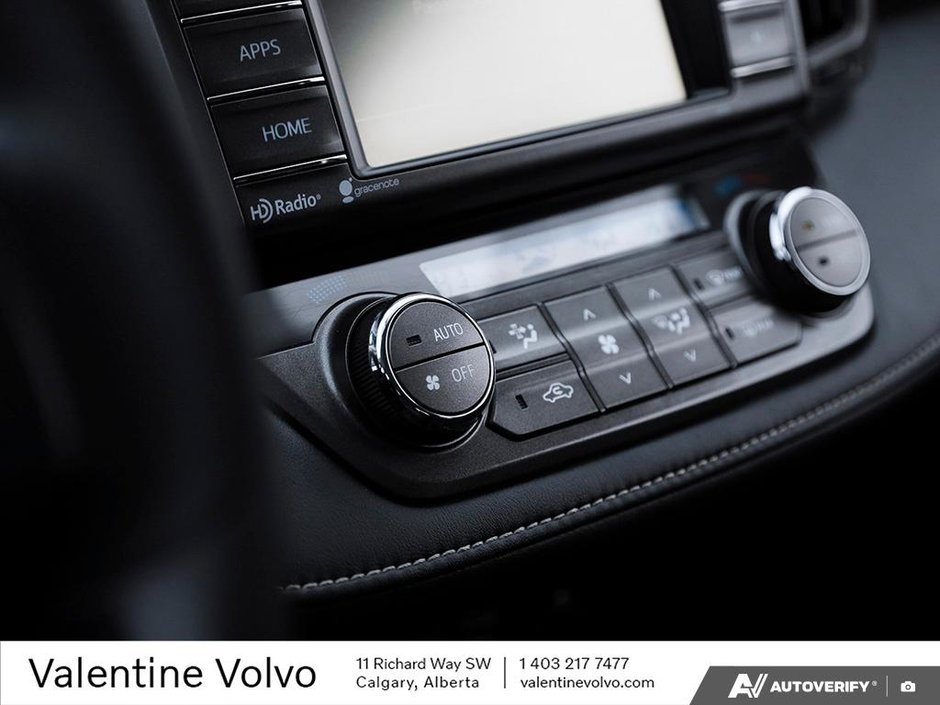 2015 Toyota RAV4 XLE-19