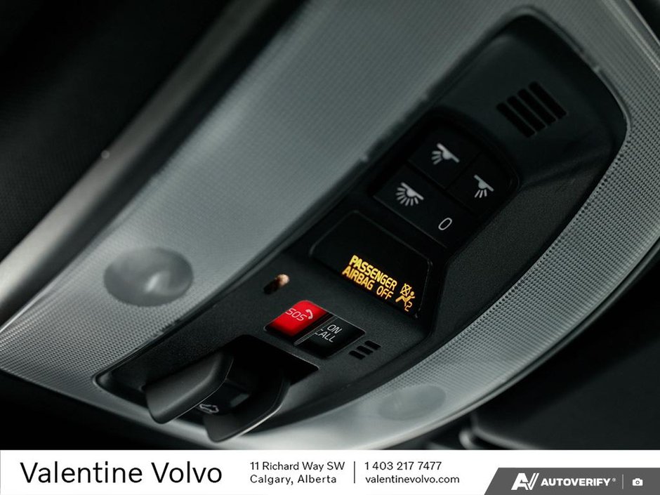 2017 Volvo S60 T6 Polestar-18