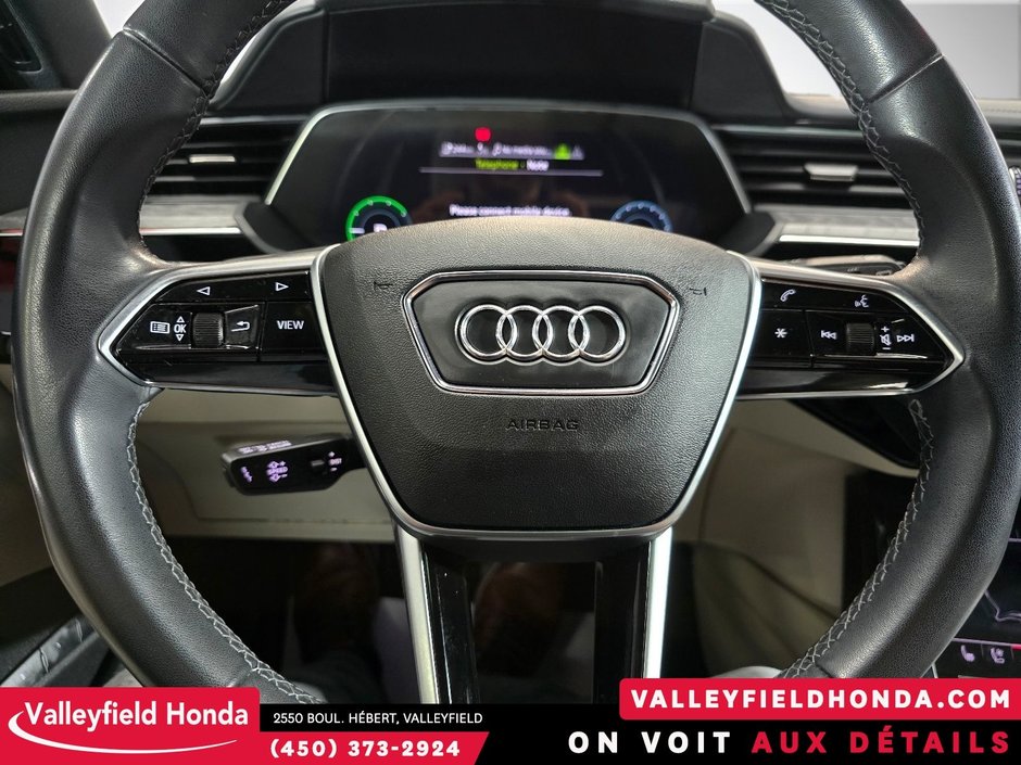 Audi E-TRON Technik 55 2023-18