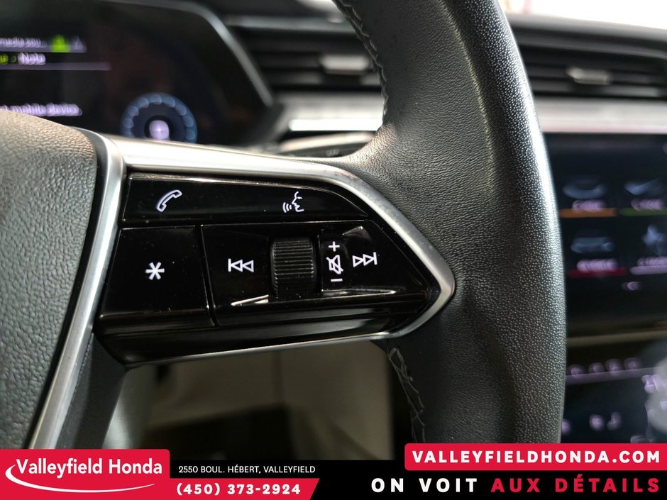 Audi E-TRON Technik 55 2023-19
