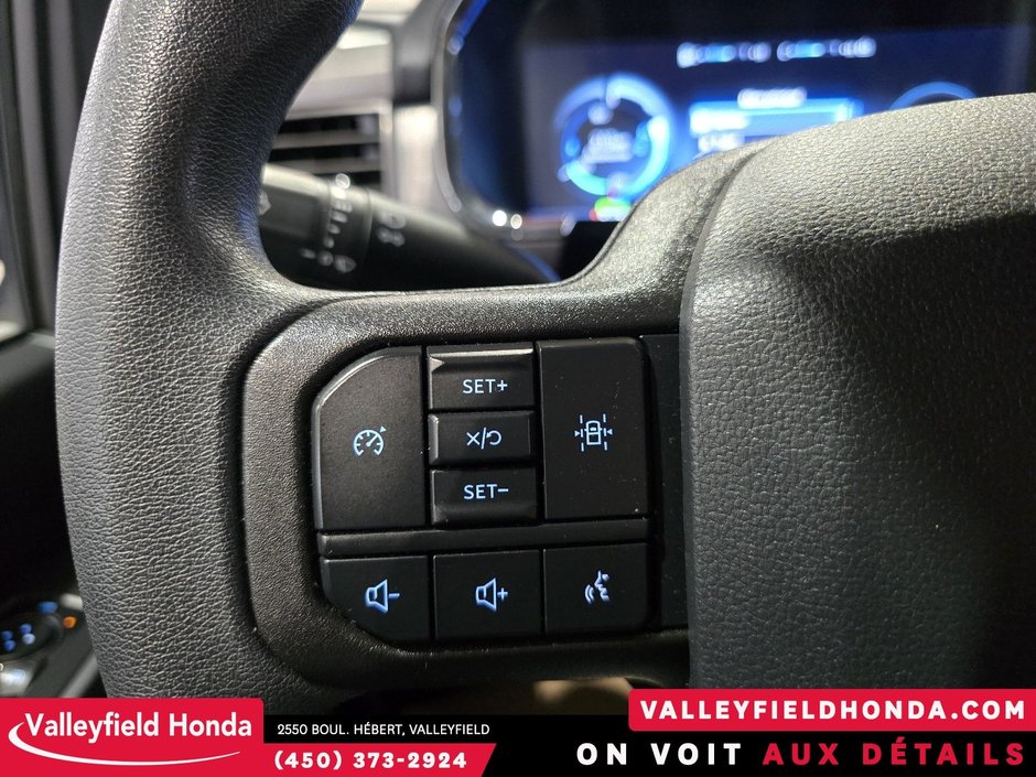 Ford F-150 Lightning PRO 386 KM D'AUTONOMIE NAVIGATION 2024-23