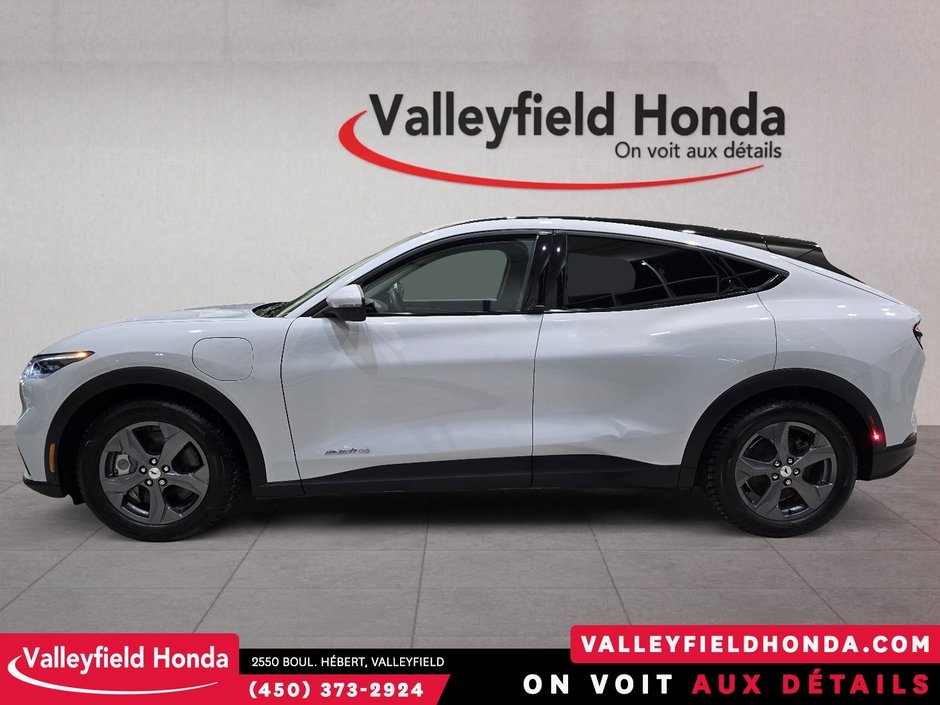 Ford Mustang Mach-E Select FORD CO-PILOT 360 2022-8