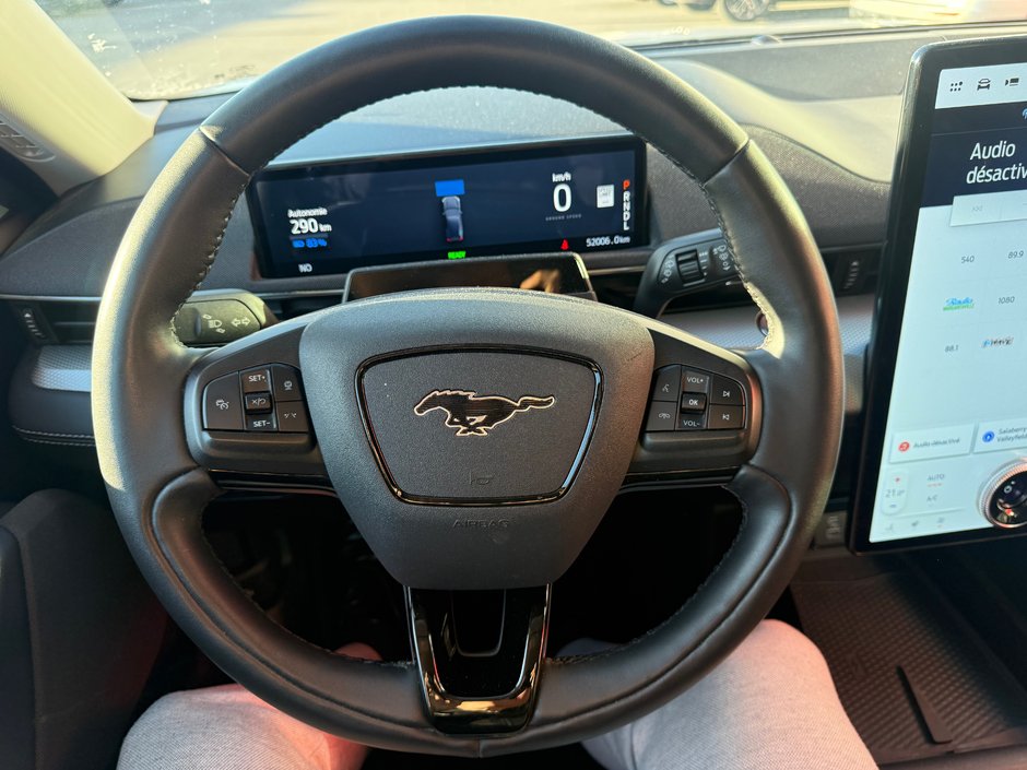Ford Mustang Mach-E Select 2022-8