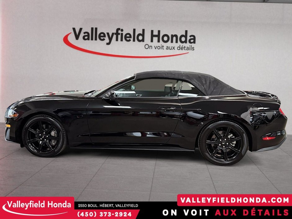 Ford Mustang GT Premium CONVERTIBLE 460HP V8 2019-10