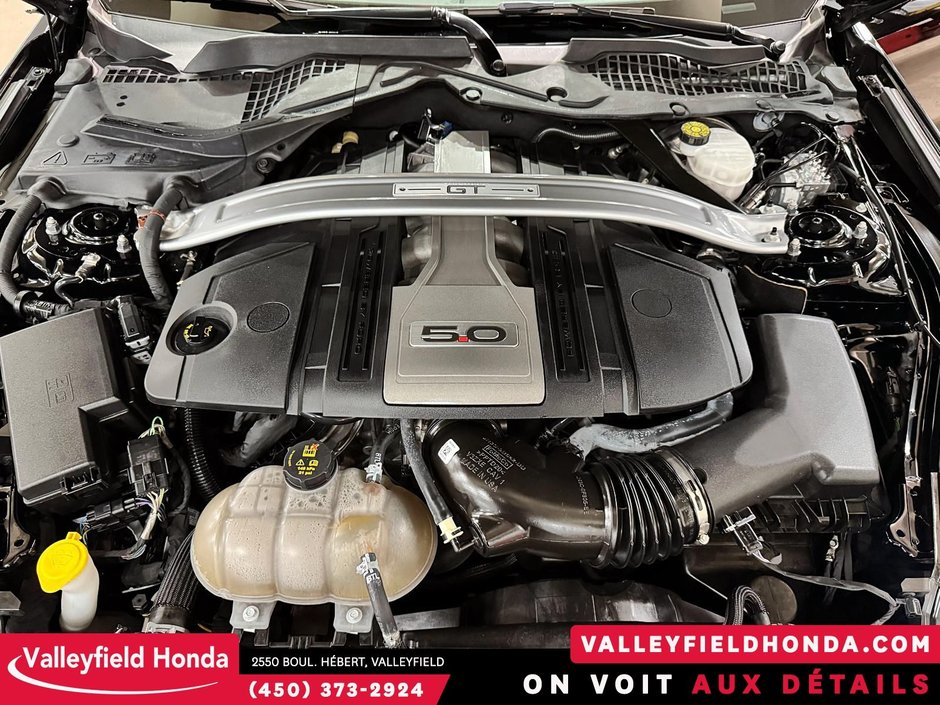 Ford Mustang GT Premium CONVERTIBLE 460HP V8 2019-14