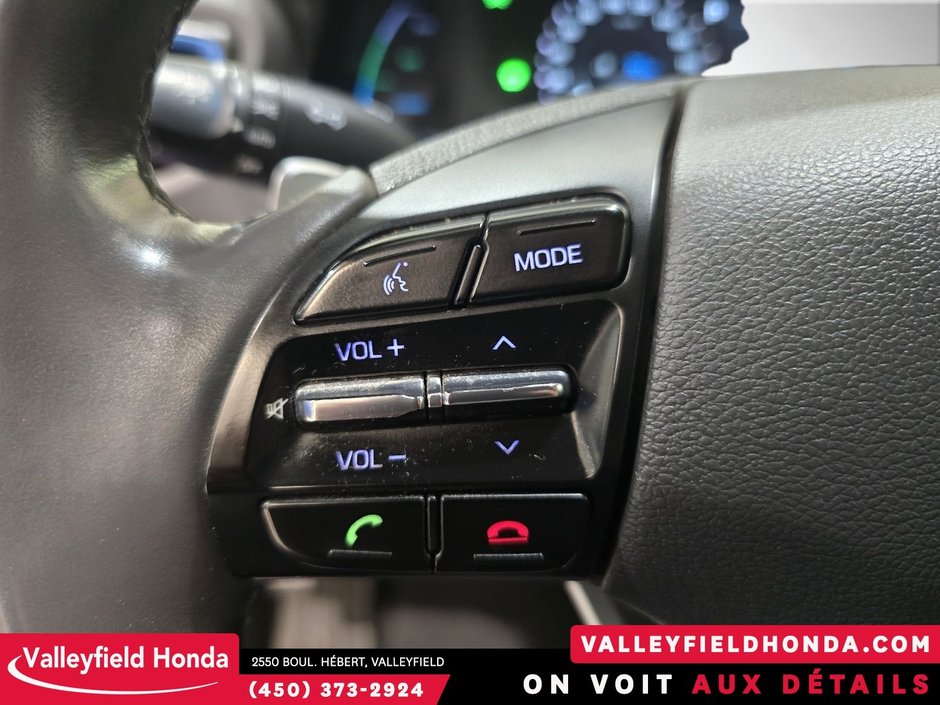 Hyundai Ioniq Electric Plus Preferred Hybride Branchable 2019-14