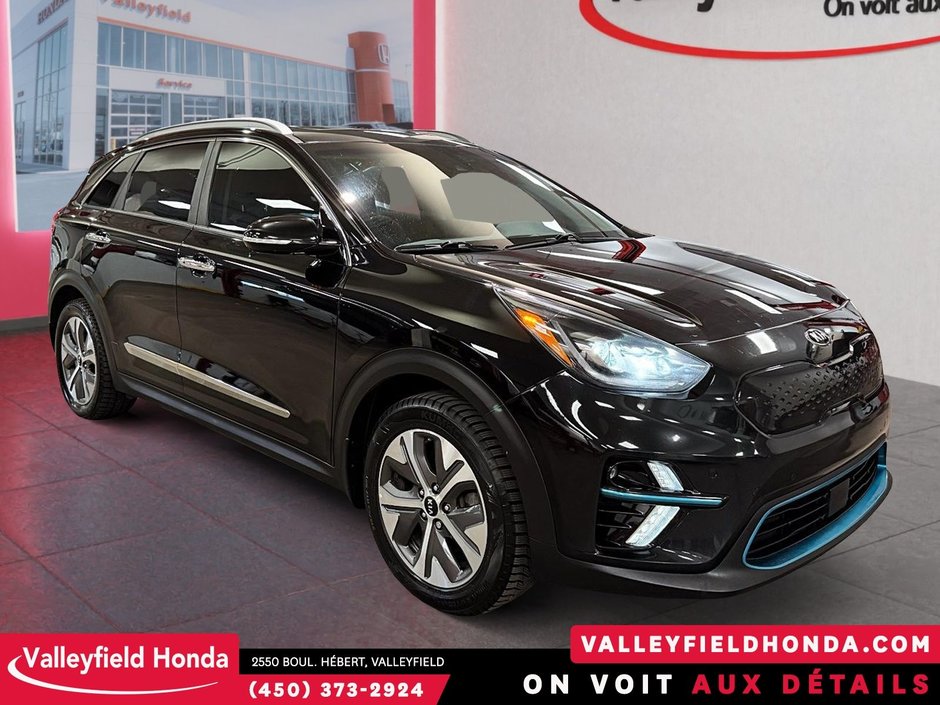 2020 Kia Niro EV SX Touring-2