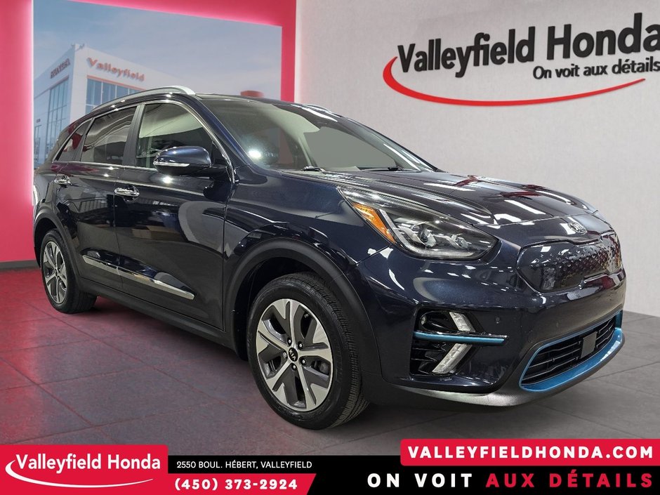 2020 Kia Niro EV SX Touring-2