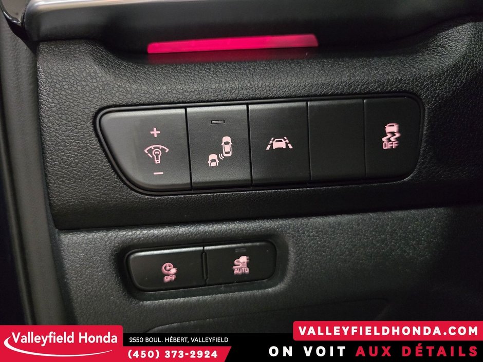 2022 Kia Niro EV SX TOURING - LOADED-31