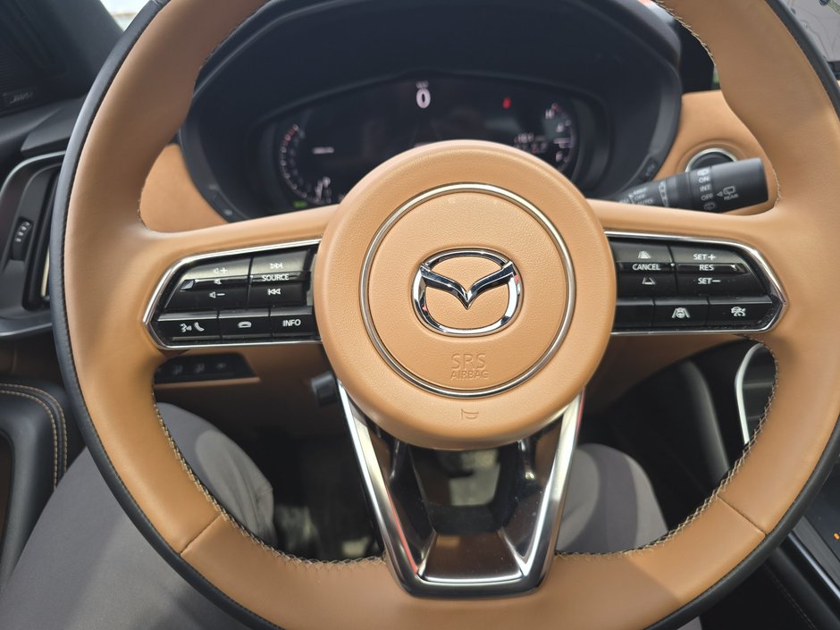 2025 Mazda CX-90 MHEV Signature-13