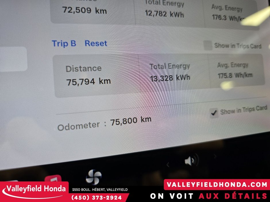 Tesla Model 3 Long Range 2020-26