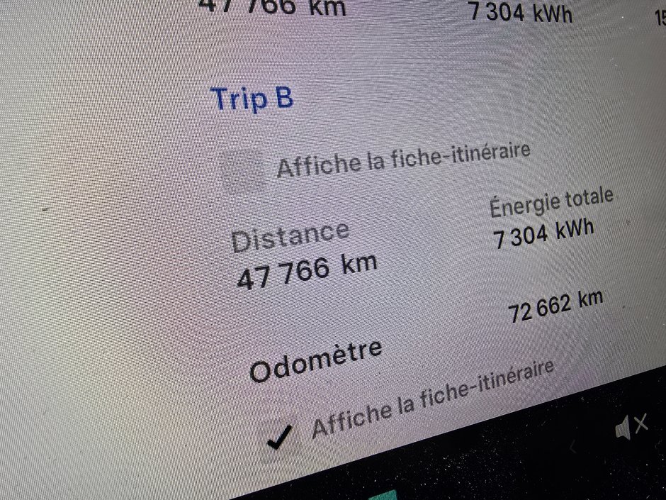 Tesla MODEL 3 STANDARD RANGE 423KM AUTONOMIE MAGS SGS CHAUFFANTS 2021-12