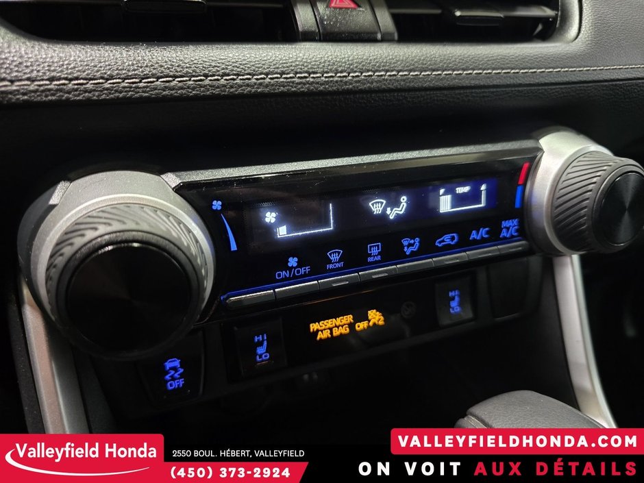 2019 Toyota RAV4 LE-20