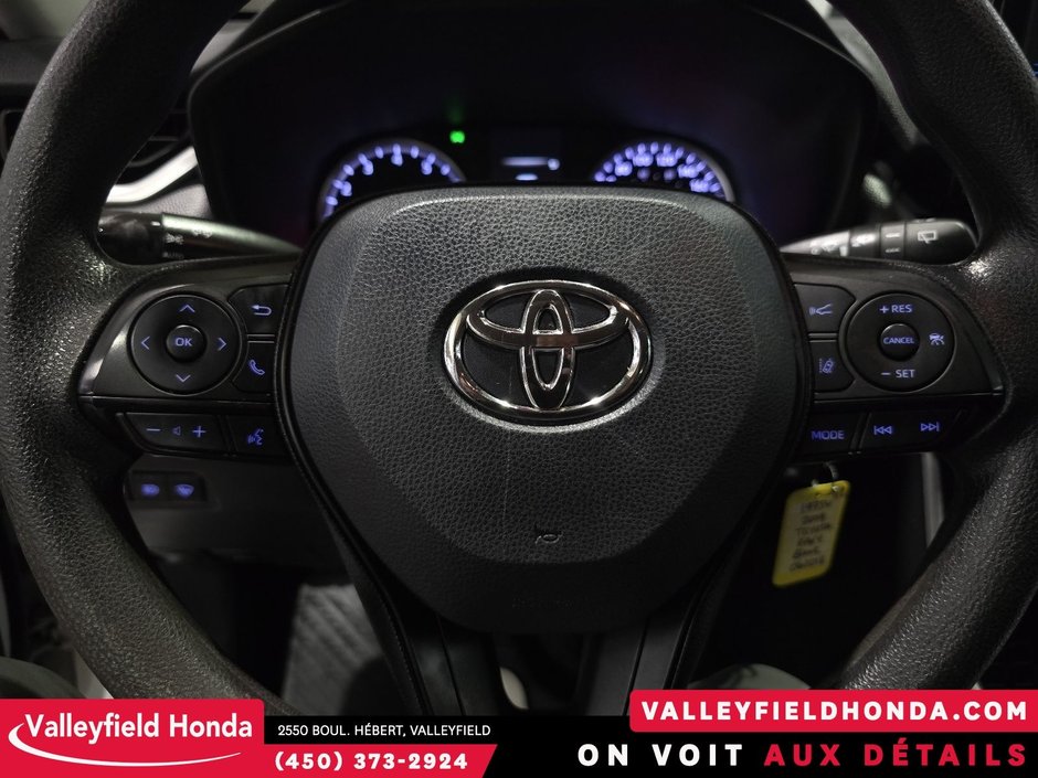 2019 Toyota RAV4 LE-18