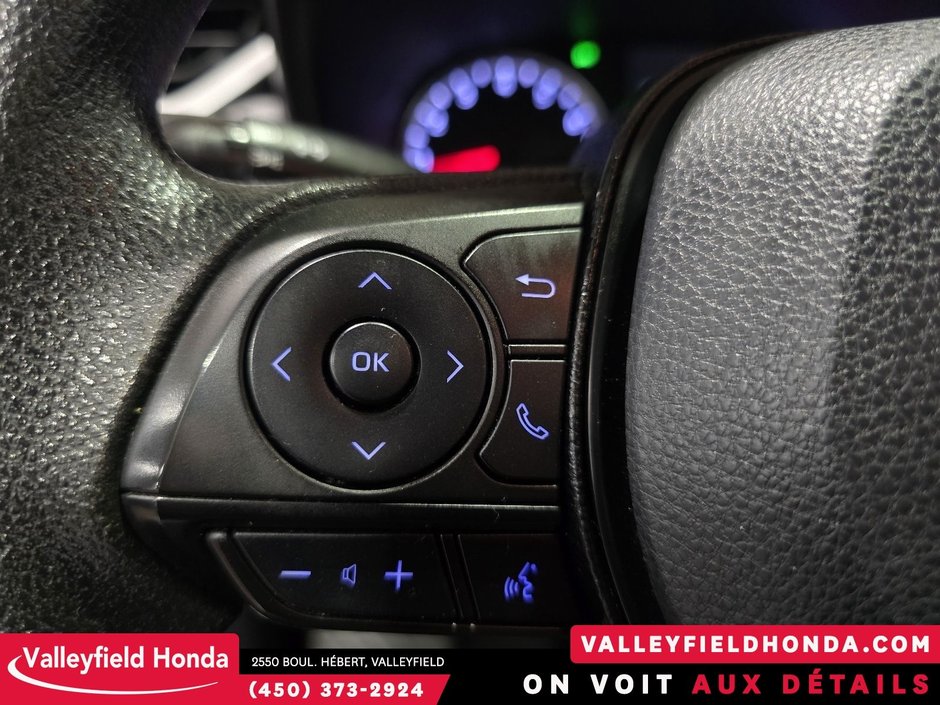 2019 Toyota RAV4 LE-17