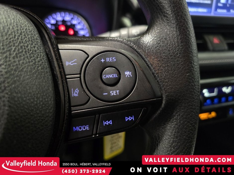 2019 Toyota RAV4 LE-19