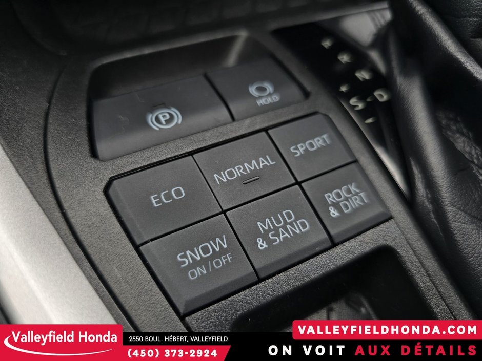 Toyota RAV4 XLE PREMIUM MAGS 19PO AWD TOIT OUVRANT 2022-29