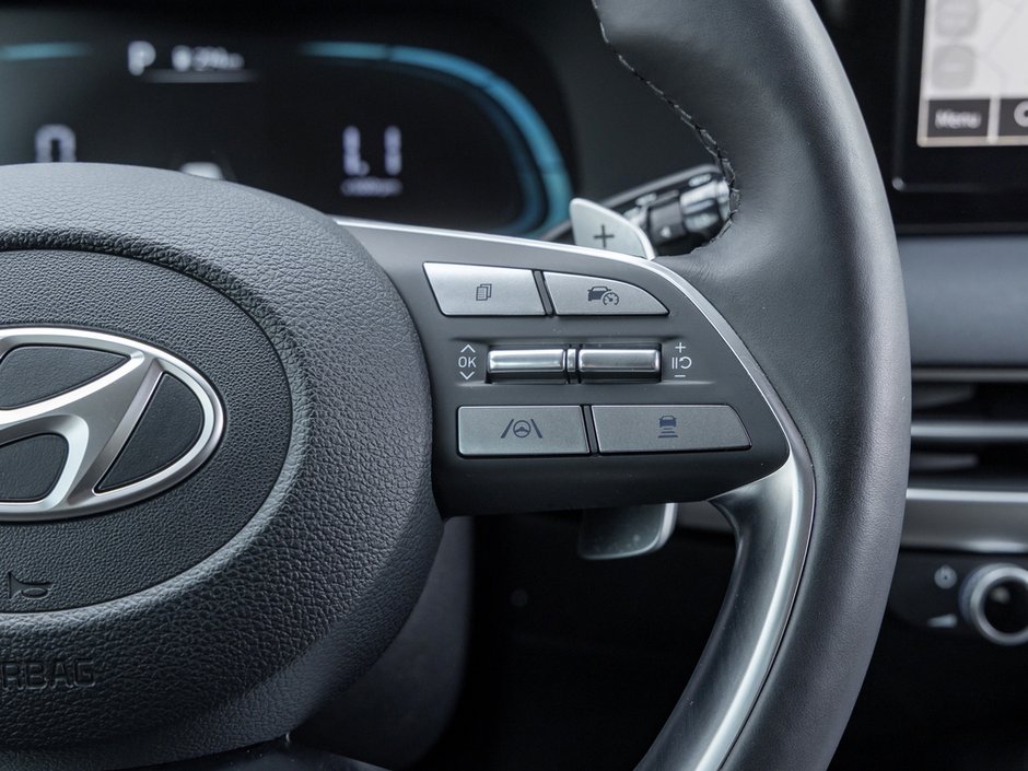 2025 Hyundai Palisade Preferred-10