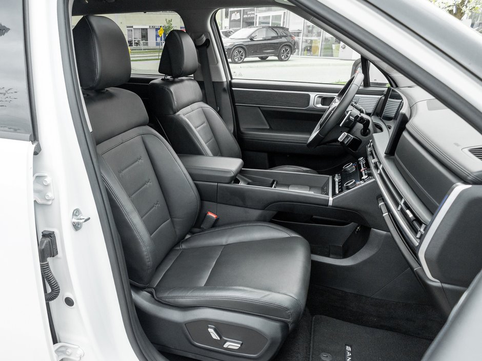2025 Hyundai Santa Fe Luxury-22