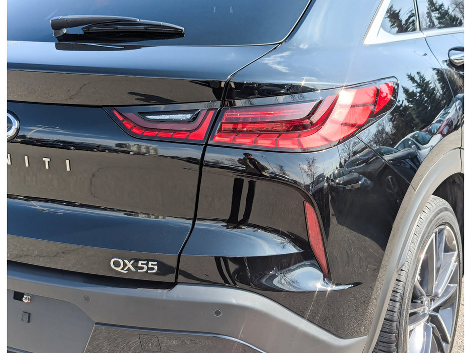 2023 Infiniti QX55 LUXE-10
