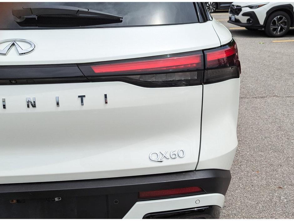2023 Infiniti QX60 LUXE-13