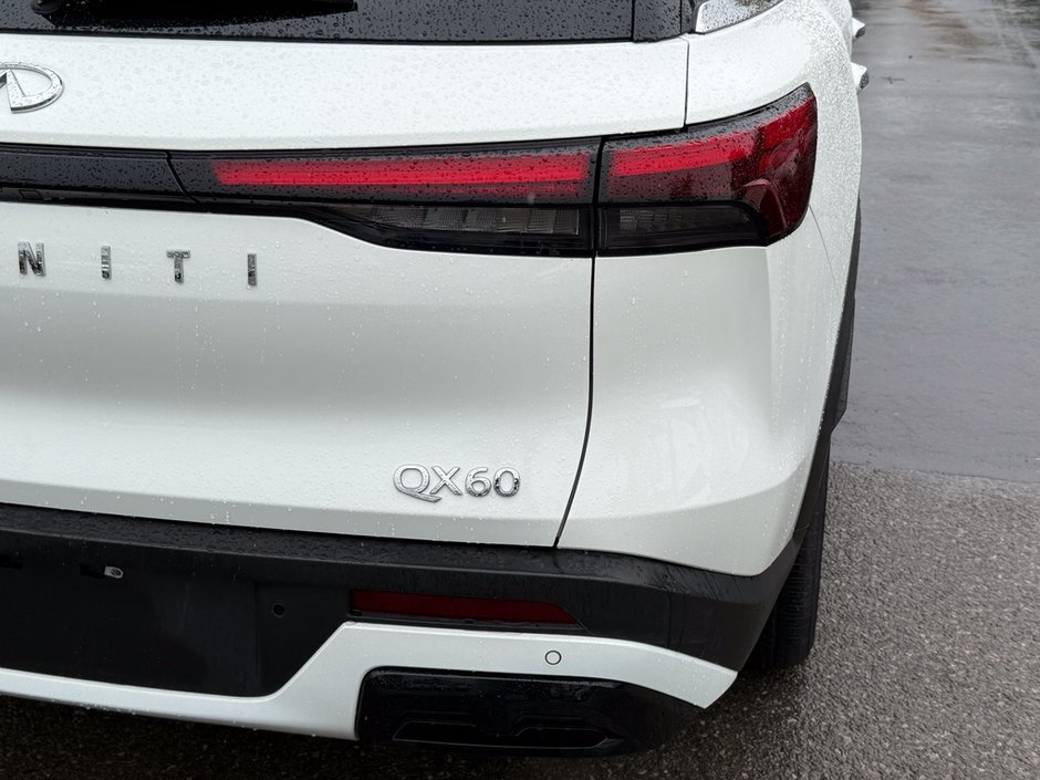 2024 Infiniti QX60 LUXE-12