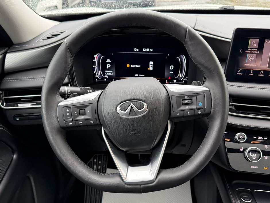 2024 Infiniti QX60 LUXE-19