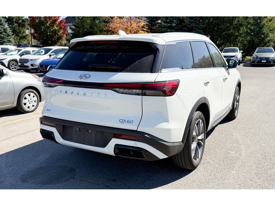 2024 Infiniti QX60 LUXE-6