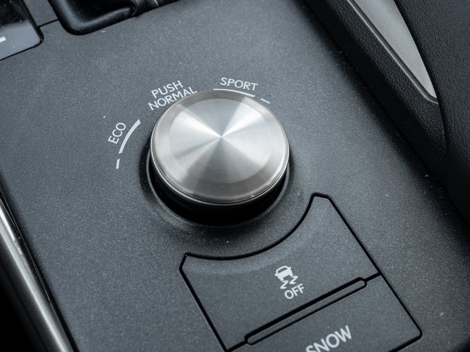 2018 Lexus IS 300-19