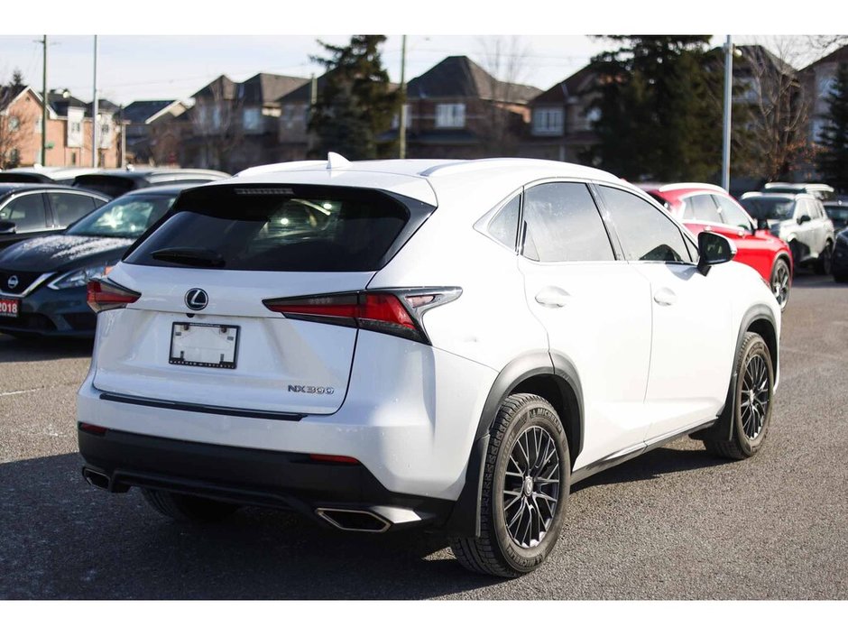 2020 Lexus NX 300-6