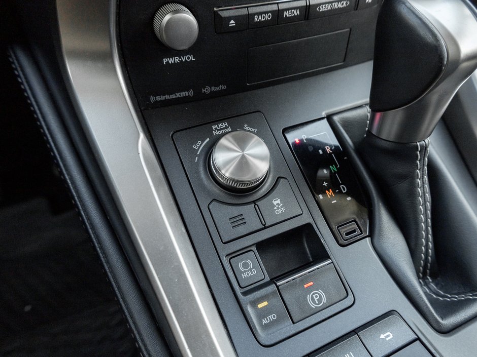 2021 Lexus NX 300 Base-16