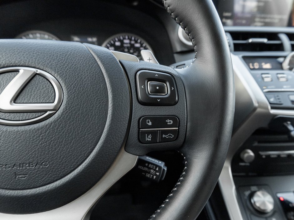 2021 Lexus NX 300 Base-10