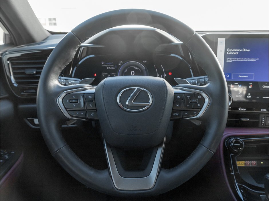 2022 Lexus NX 350H-8