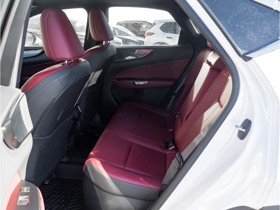 2022 Lexus NX 350H-24