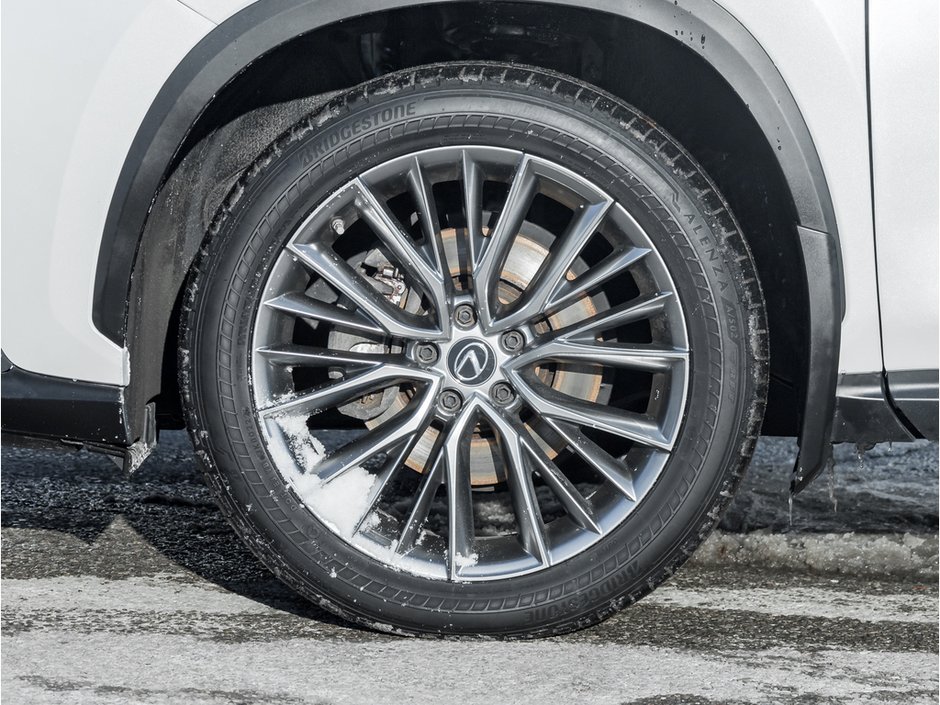 2022 Lexus NX 350H-4