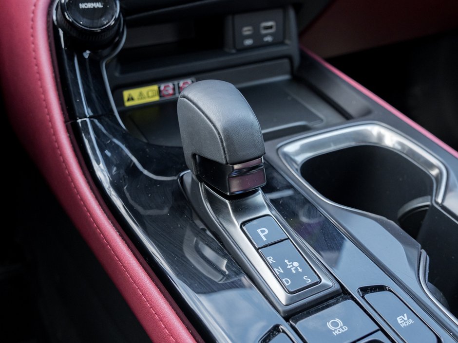 2024 Lexus NX LUXURY PKG 350h-14