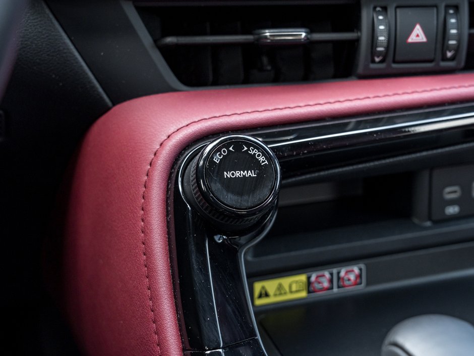 2024 Lexus NX LUXURY PKG 350h-17