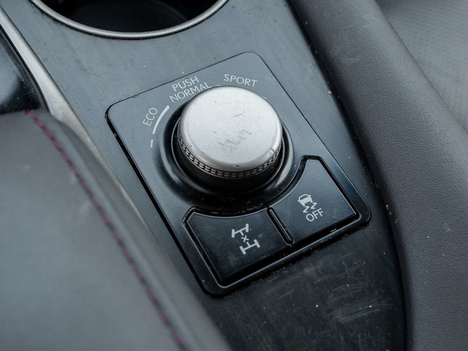 2019 Lexus RX 350-18
