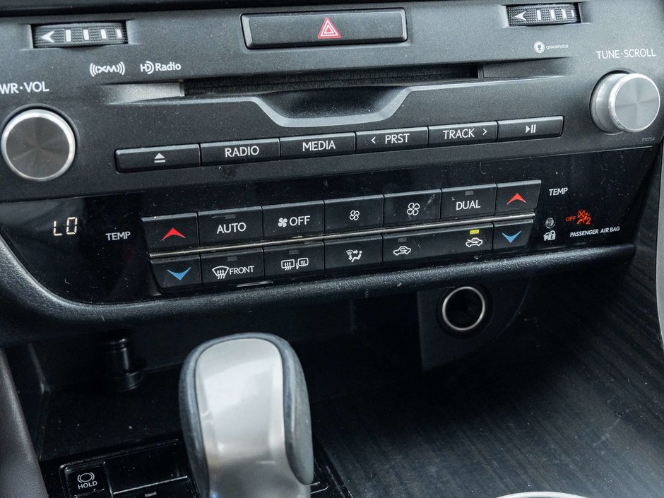 2019 Lexus RX 350-21