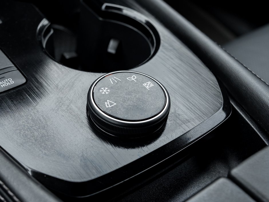 2023 Nissan Rogue Platinum-21