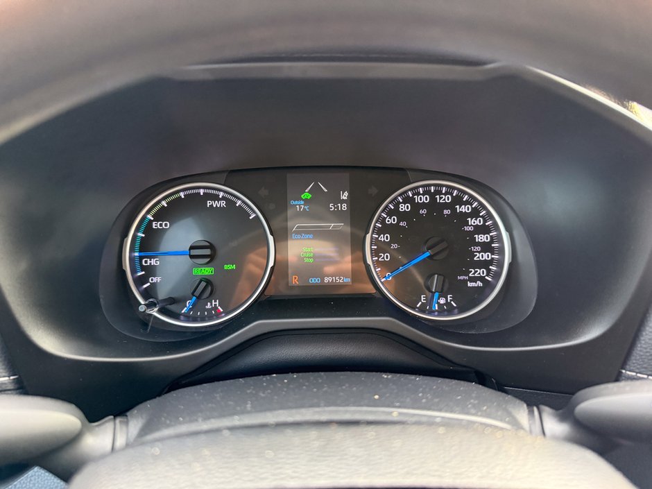 2019 Toyota RAV4 Hybrid LE-20