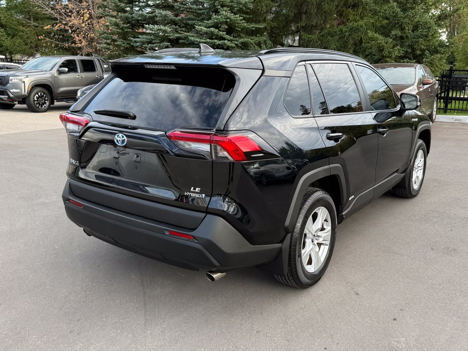 2019 Toyota RAV4 Hybrid LE-6