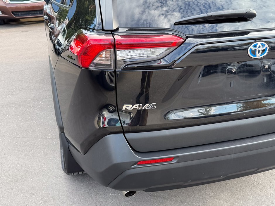 2019 Toyota RAV4 Hybrid LE-12